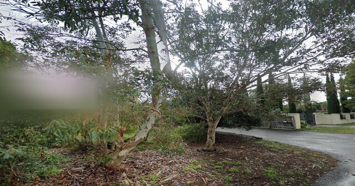 Best Takeaway in Vermont