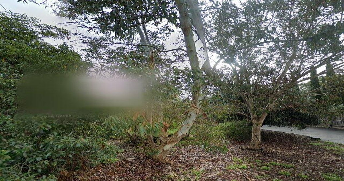 Best Wine Bars in Vermont