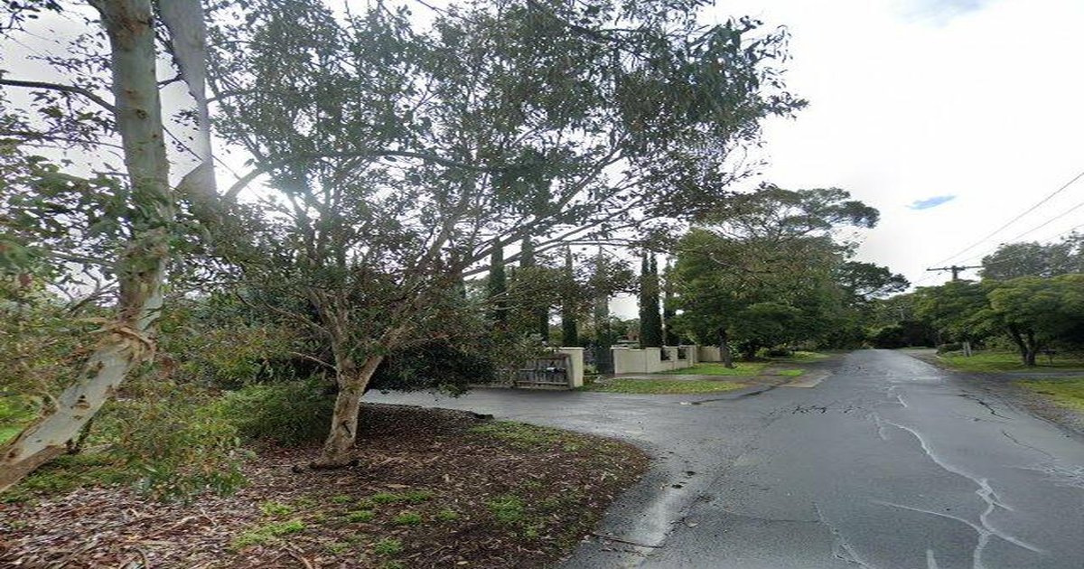 Vermont Community Guide