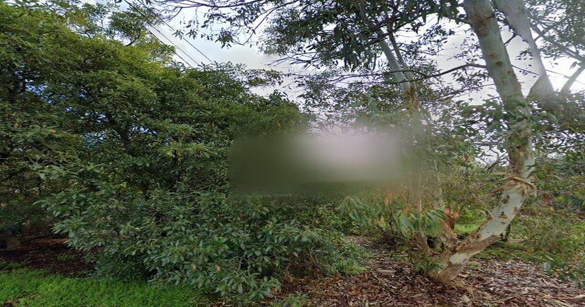 Libraries Near Vermont