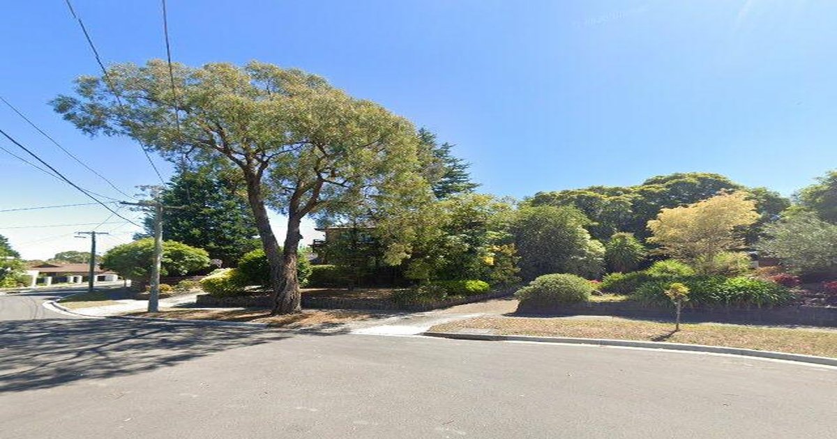 Best Pizza in Wheelers Hill