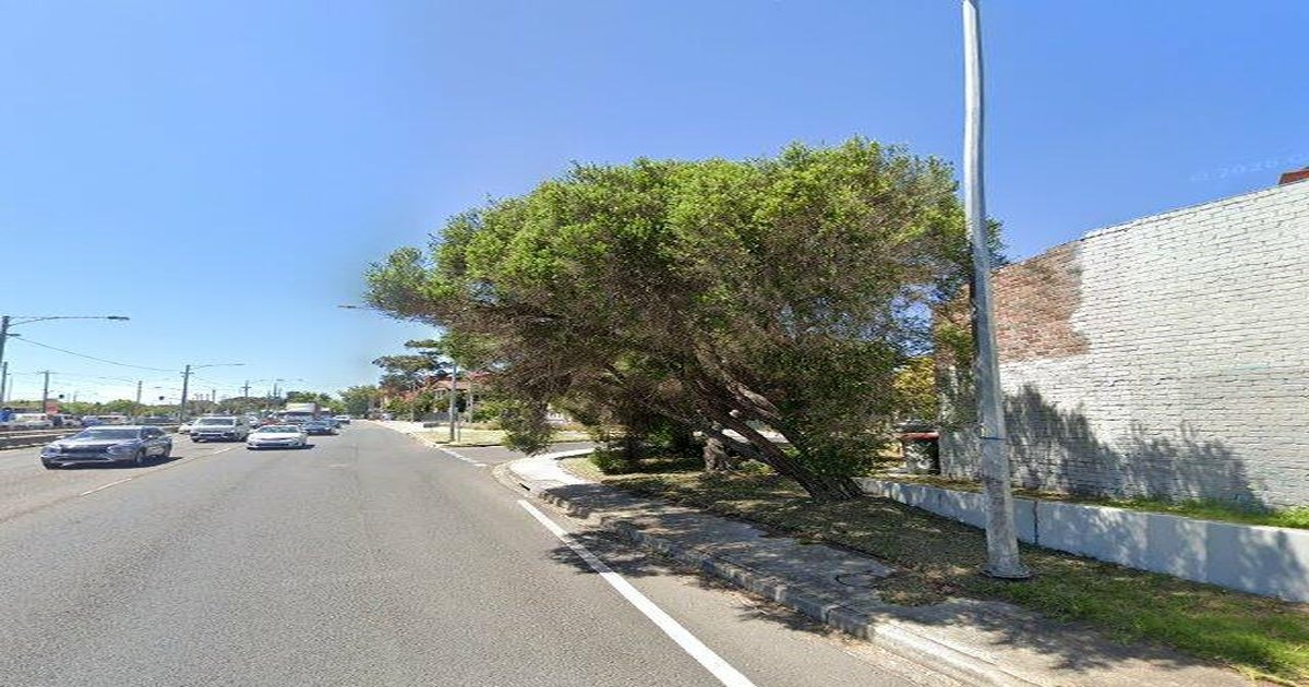 Best Pizza in Windsor