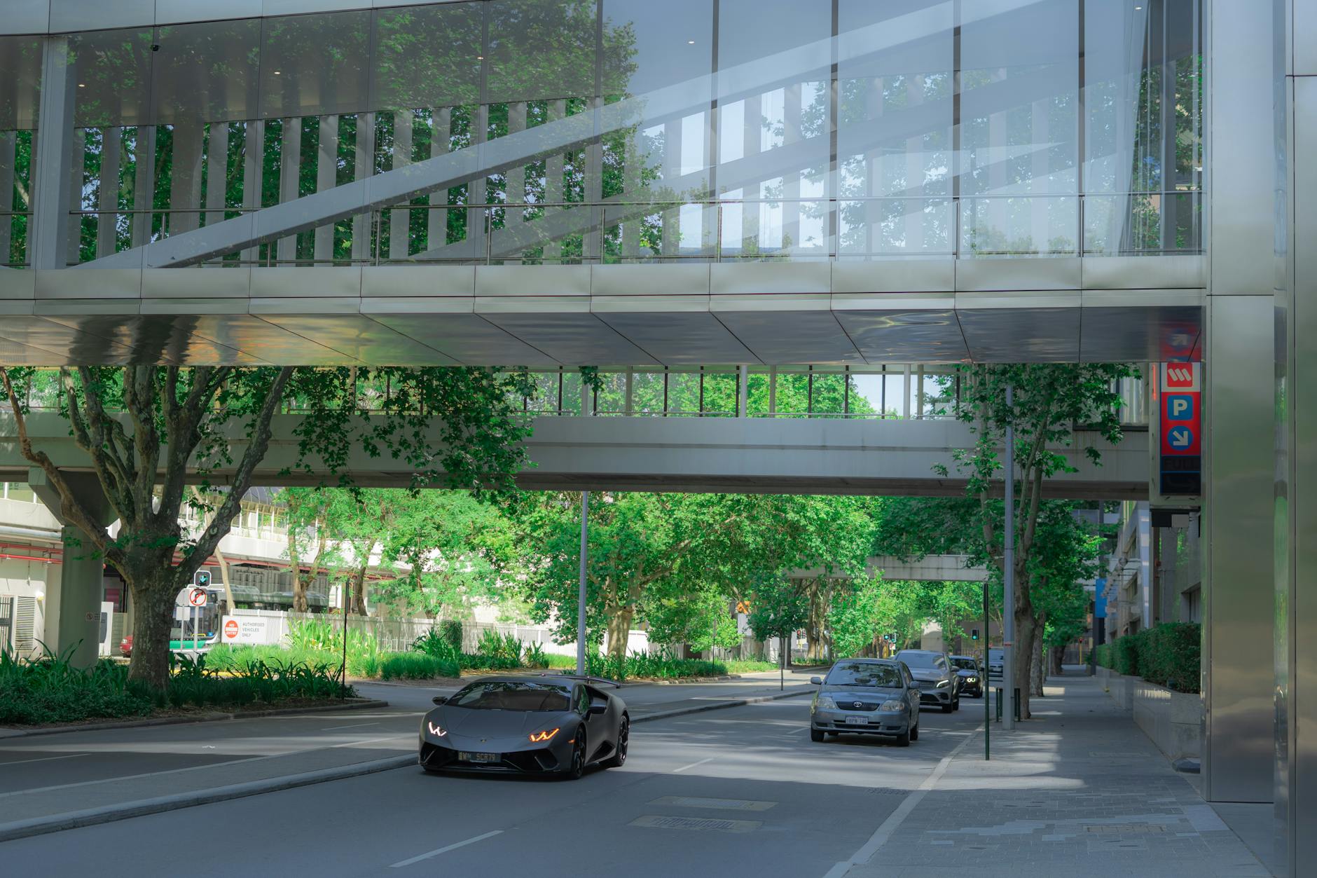 Chapel Street Windsor neighbourhood streetscape