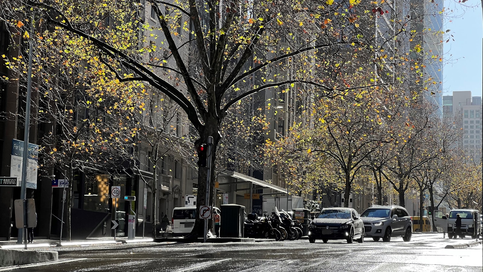 Coworking in Winter Melbourne 2026 Survival Guide 2026: Best Spaces for Remote Workers