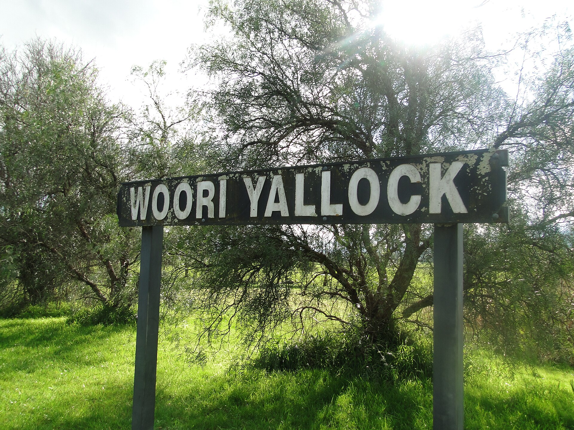 Woori Yallock Remote Work Guide 2026: Coworking, Cafes and Libraries